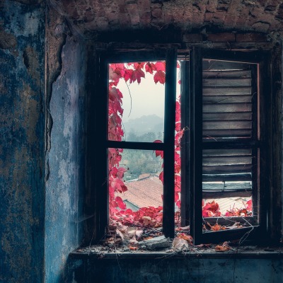 Дом старый комната окно листья