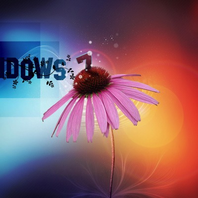 Windows 7 цветок