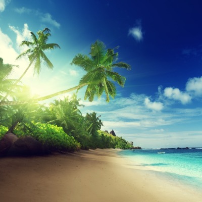 побережье берег солнечный свет лазурный пальмы