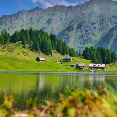 швейцария озеро горы зелень лето
