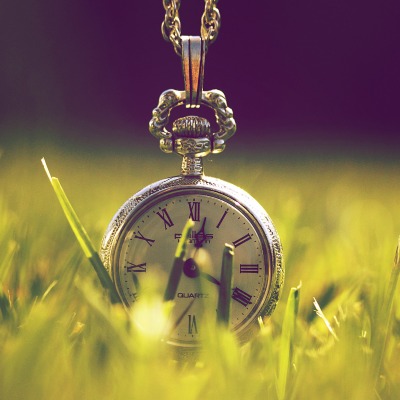Карманные часы в траве