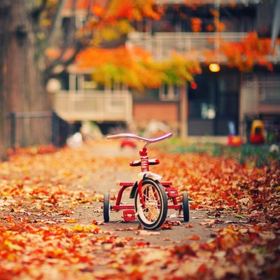 Велосипед детский осень площадка