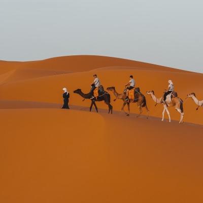 верблюды люди пустыня