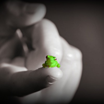 маленькая жаба рука