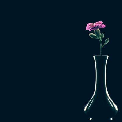 цветок ваза минимализм