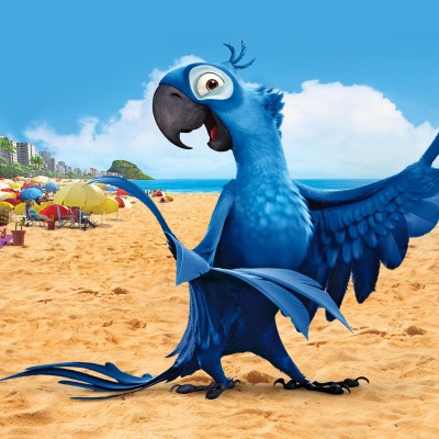Голубой попугай, Рио