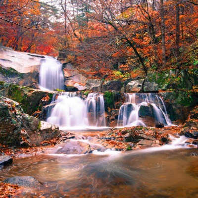 осень листья водопад речка