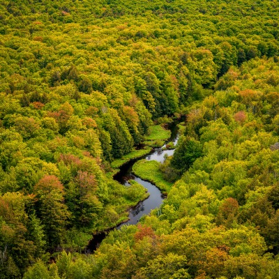 лес речка с высоты осенний лес