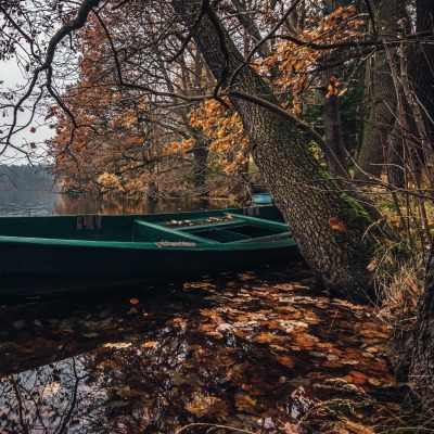 лодка отражение водоем листья