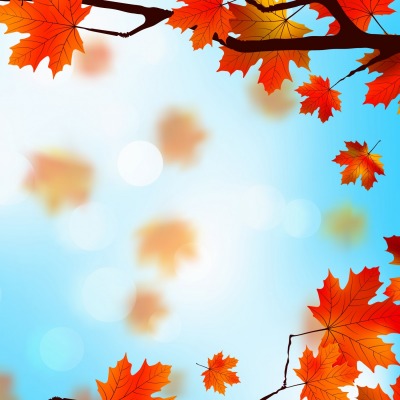 осень листья небо