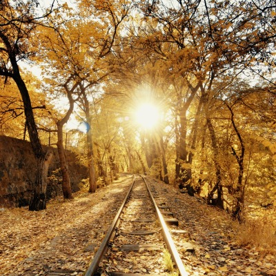 железная дорога осень деревья