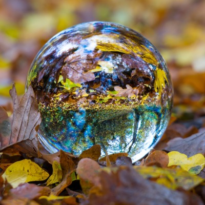 шар стеклянный осень листья листва отражение