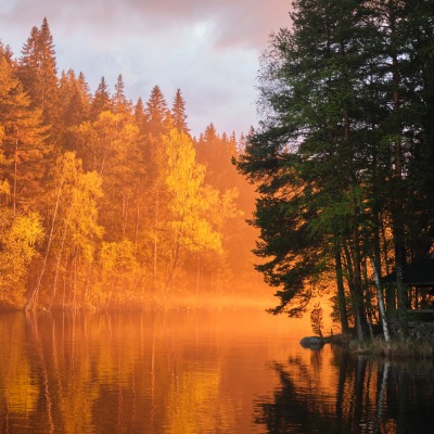 осенний лес туманность озеро деревья