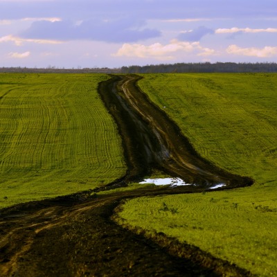 Дорога и грязь