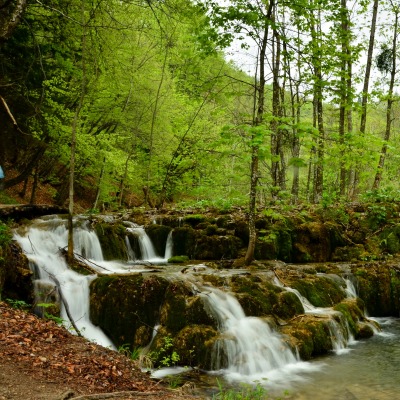 водопад среди деревьев