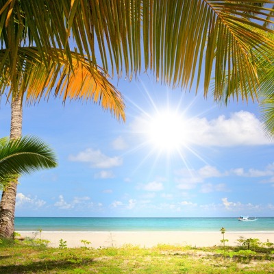 солнце, море, пляж, пальмы