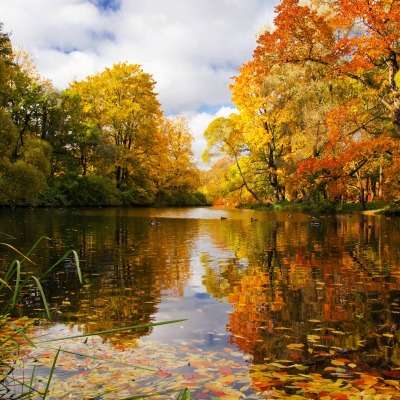 Осеннее озеро в лесу