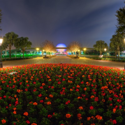 Цветы вечером в парке