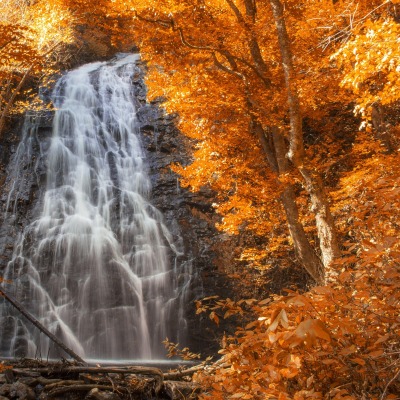 водопад лес осень
