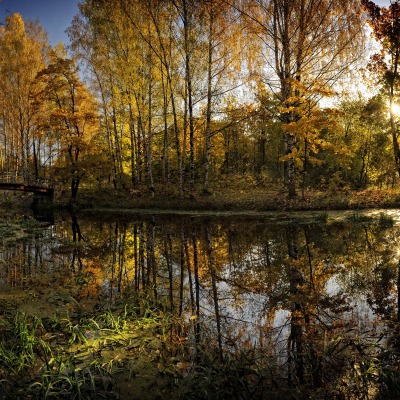 озеро осень лес деревья