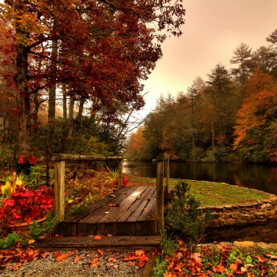 Осень лес мостик