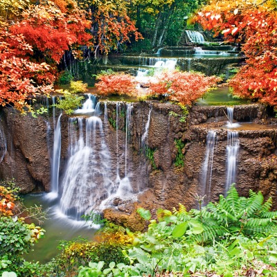 природа водопады деревья листья