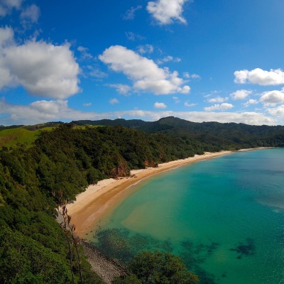 Новая Зеландия море природа побережье
