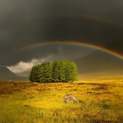 природа двойная радуга деревья тарва поле