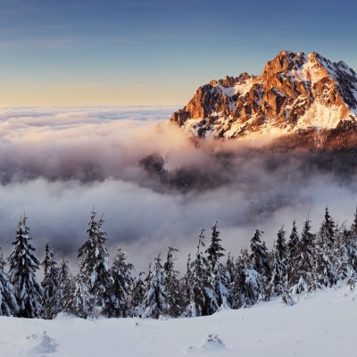природа горы снег деревья зима облака