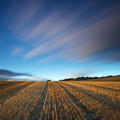 природа поле горизонт небо nature field horizon the sky