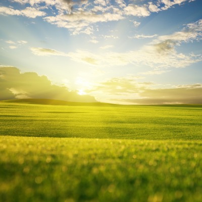 природа поле небо облака солнце nature field the sky clouds sun