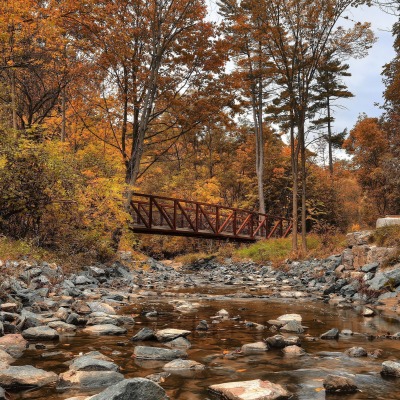 природа камни лес деревья мост река nature stones forest trees the bridge river