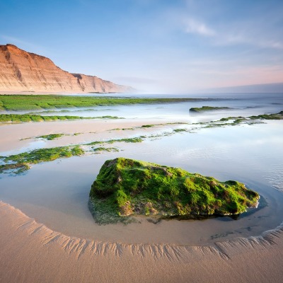 камень мох вода stone moss water