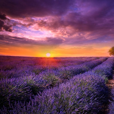 природа трава горизонт небо облака nature grass horizon the sky clouds