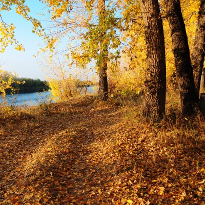 осень дорога река autumn road river