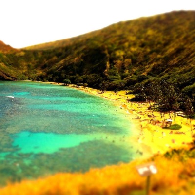 природа море пляж берег nature sea the beach shore