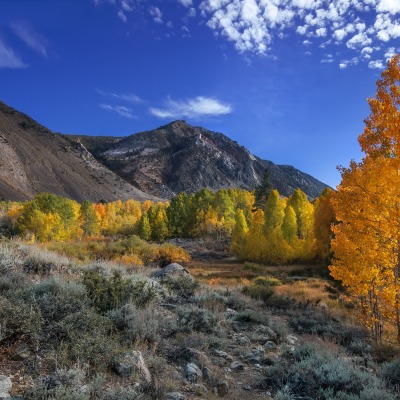 горы осень деревья mountains autumn trees