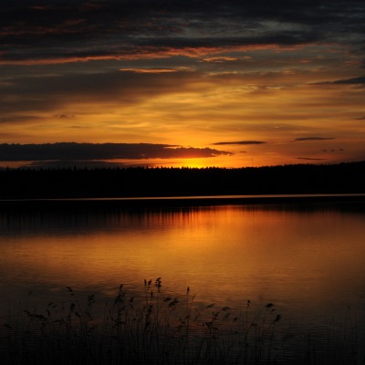 природа закат озеро деревья небо nature sunset the lake trees sky