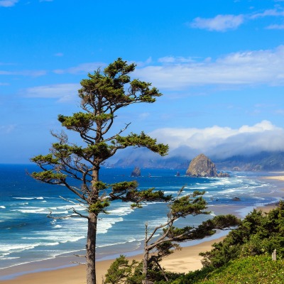 природа деревья море горизонт горы nature trees sea horizon mountains