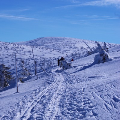 природа горизонт снег nature horizon snow