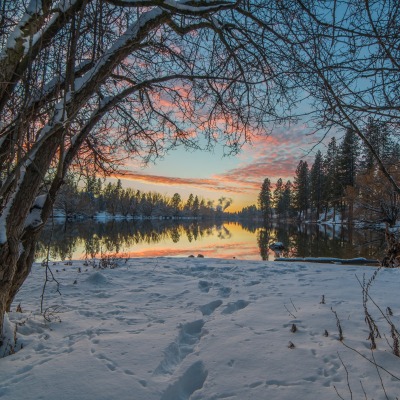 снег озеро деревья snow the lake trees