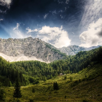 гора белая лес mountain white forest