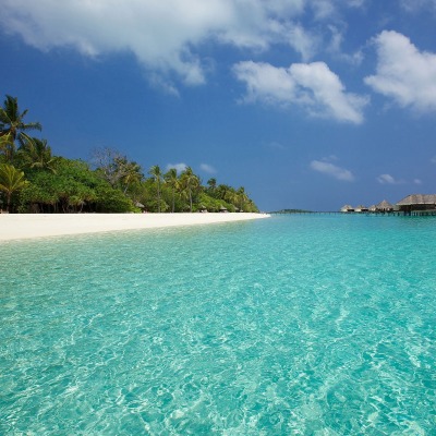 мальдивы берег the Maldives shore