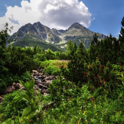 природа горы скалы деревья небо облака nature mountains rock trees the sky clouds