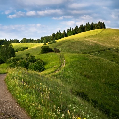 дорожка холмы track hills