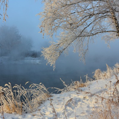 снег речка береза snow the river birch