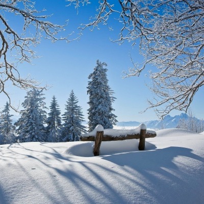 снег лавочка зима дерево snow shop winter tree