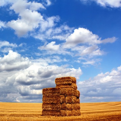 солома поле небо облака straw field the sky clouds