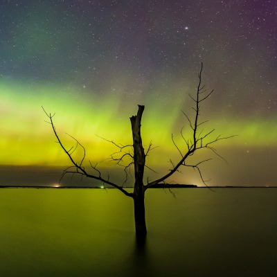 природа деревья небо северное сияние море