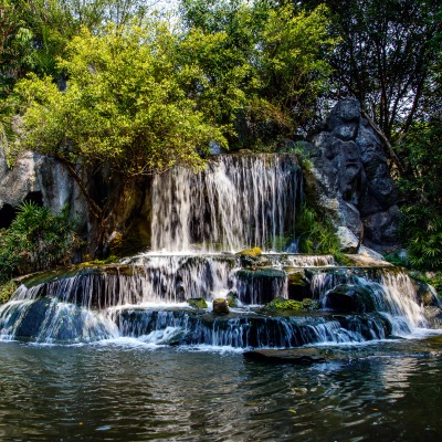 водопад лес